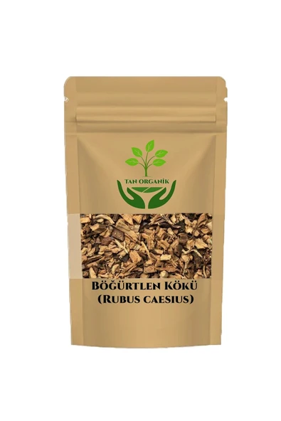 Böğürtlen Kökü (Rubus caesius) 100gr ürün görseli 1