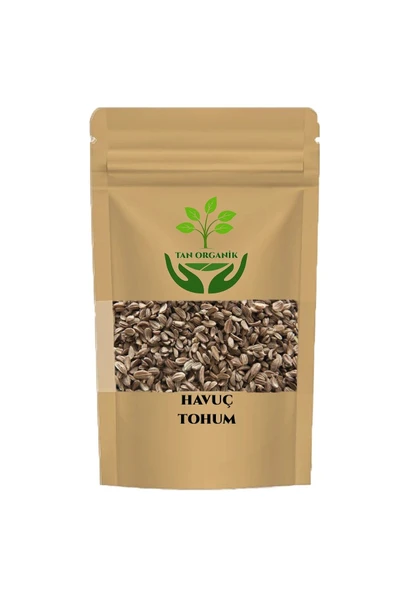 Havuç Tohumu (Daucus carota) 50gr ürün görseli 1