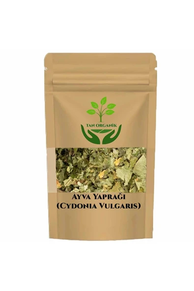 Ayva Yaprağı (Cydonia Vulgaris) 25gr ürün görseli 1