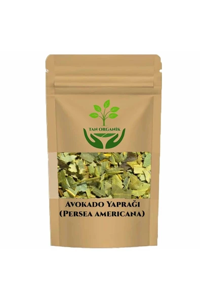 Avokado Yaprağı (Persea americana) 500gr ürün görseli 1