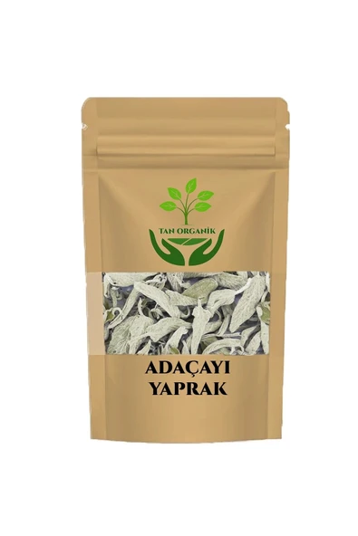 Adaçayı (Salvia officinalis) 50gr ürün görseli 1