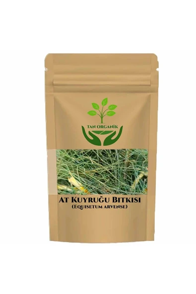 At Kuyruğu Bitkisi (Equisetum arvense) Kırkkilit Otu 100gr ürün görseli 1