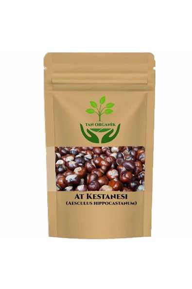 At Kestanesi (Aesculus hippocastanum) 500gr ürün görseli 1