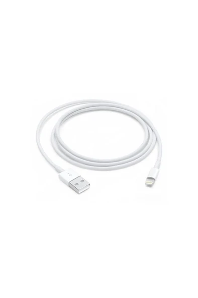Iphone Şarj Aleti Kablosu 1m Lightning Usb Kablosu ürün görseli 1