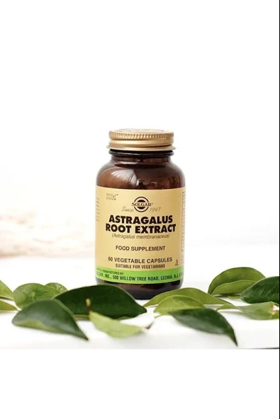 Solgar Astragalus Root Extract 60 Kapsül 3 Adet - Resim 3