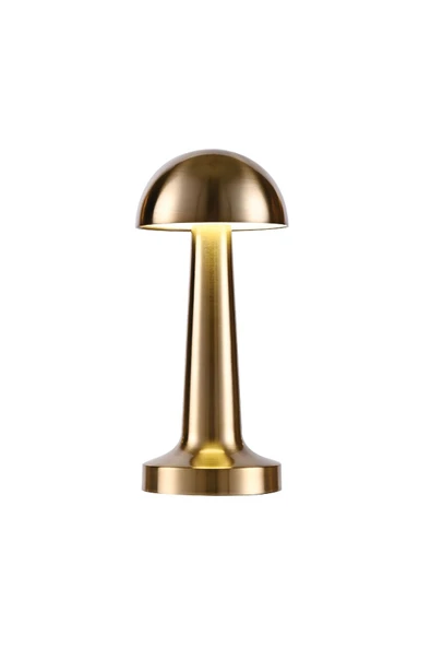Noas -YL86-1230-ATİNA MASA LAMBASI ŞARJ EDİLEBİLİR GOLD-3 RENK IŞIK SEÇENEĞİ VE EVİNİZE ŞIKLIK KATARYNSMR ürün görseli 1
