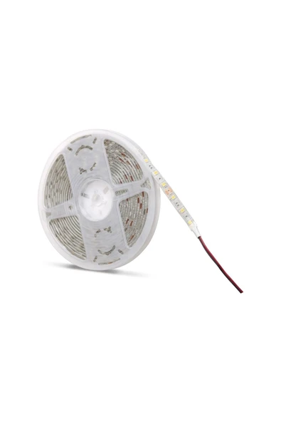 Noas 12 Volt Dış Mekan Şerit Led Günışığı YL40-4102 - 5 Metre ürün görseli 1