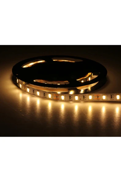 Cata Ct-4537 Led Şerit 5630 Gold Şerit Led Günışığı Renk 5mt ürün görseli 1