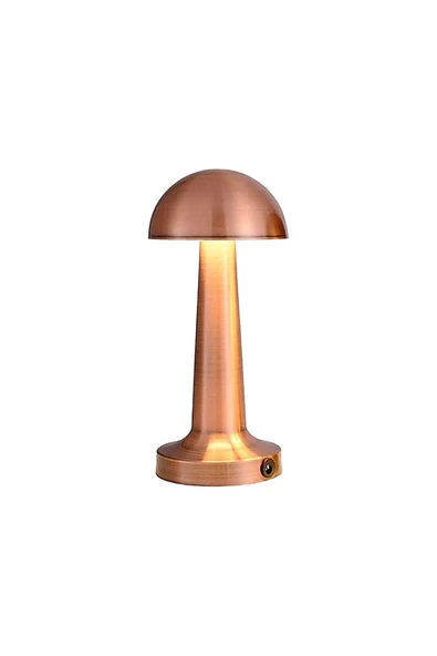 Noas -YL86-1231-ATINA MASA LAMBASI ŞARJ EDİLEBİLİR BRONZ-3 RENK IŞIK GELAL ürün görseli 1