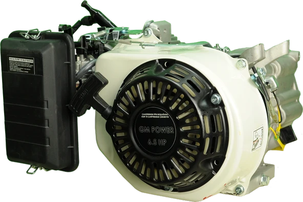 GoldMoto GMPOWER GM200J-2 6.5 Hp İpli Krank Mili Konik Benzinli Motor ürün görseli 1
