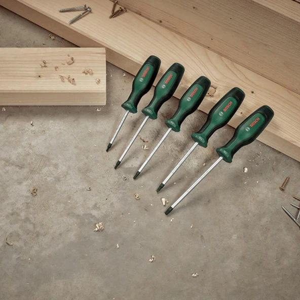 Bosch Home and Garden Torx Tornavida Seti 5 Parça - Resim 5