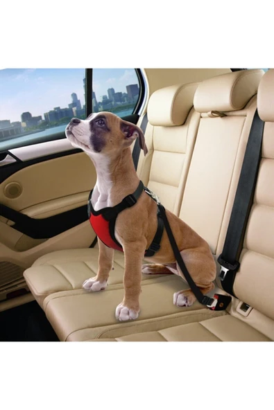 baffhome Araba Köpek Tasması Emniyet Kemeri Aparatlı Oto Evcil Hayvan Boyun Araç Tasması Kemeri ürün görseli 1