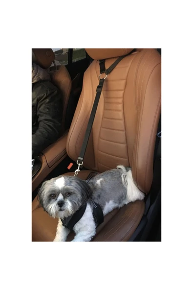 baffhome Araba Köpek Emniyet Kemerli Tasması Evcil Hayvan Araç Seyahat Kemeri ürün görseli 1