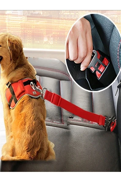 baffhome Araba Siyah Kedi Köpek Araç Emniyet Kemeri Tasma Için Ayarlanabilir Araba Evcil Hayvan Oto Tasması ürün görseli 1
