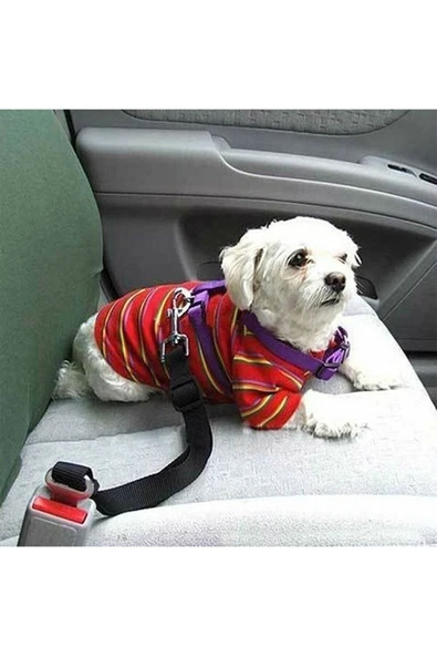 baffhome Siyah Kedi Köpek Araç Emniyet Kemeri Tasma Için Ayarlanabilir Araba Evcil Hayvan Oto Tasması ürün görseli 1