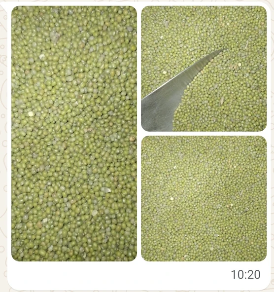 Maş Fasulyesi 1 kğ ürün görseli 1