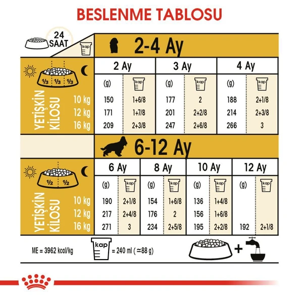 Cocker Yavru Köpek Maması 3kg - Resim 7