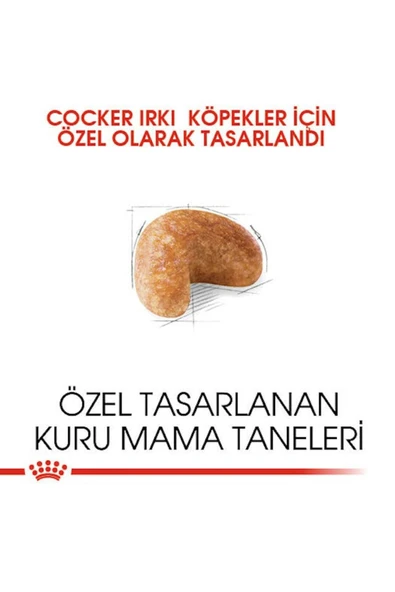 Cocker Kuru Köpek Maması 3kg - Resim 8