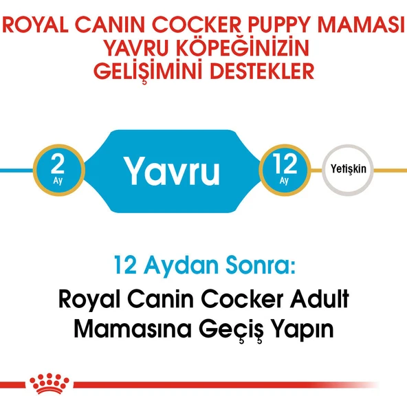 Cocker Yavru Köpek Maması 3kg - Resim 5