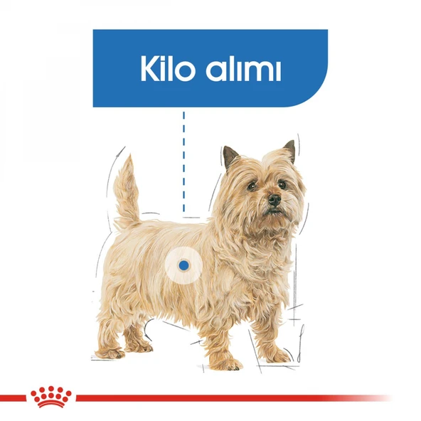 Mini Lightweight Kuru Köpek Maması 3kg - Resim 5