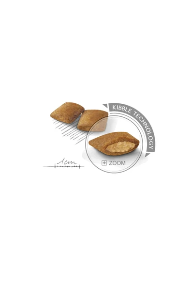 Mini Exigent 3 Kg + Exigent Loaf x 2 Adet - Resim 3