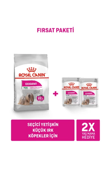 Mini Exigent 3 Kg + Exigent Loaf x 2 Adet ürün görseli 1