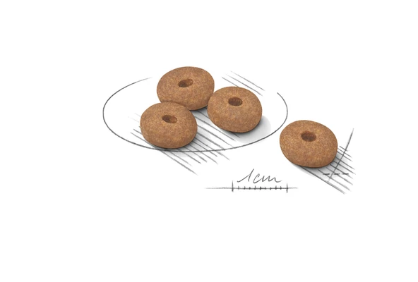 Mini Lightweight Kuru Köpek Maması 3kg - Resim 2