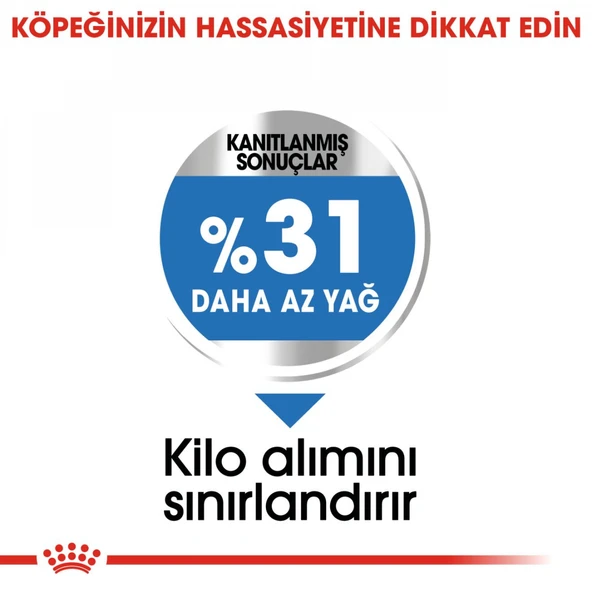 Mini Lightweight Kuru Köpek Maması 3kg - Resim 6