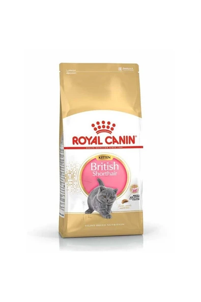 Royal Canin British Shorthair için Yavru Kedi Maması 2kg ürün görseli 1