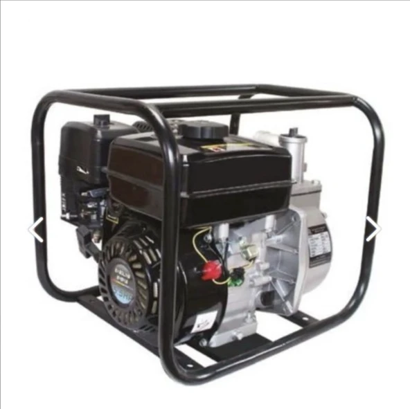 Palmera Pa 250 T Su Motoru Benzinli 5.5hp 2''inç ürün görseli 1