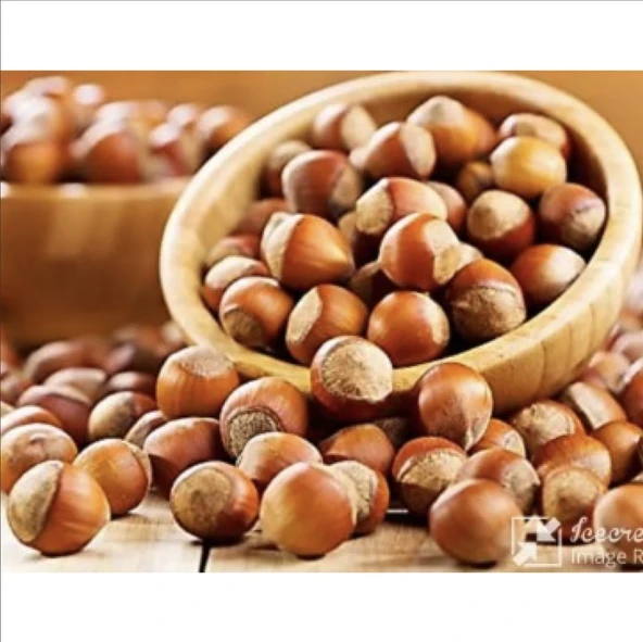ENFEZ GİRESUN KALİTE KABUKLU FINDIK 1 KG BAHÇEMİZDEN SOFRANIZA 2025 YILI ÜRETİMİDİR ürün görseli 1