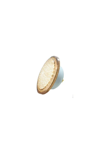 30 Watt Gün Işığı Smd Led Havuz Ampulu / Par 56 ürün görseli 1