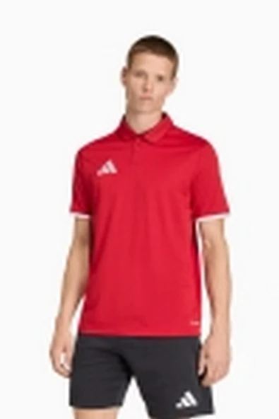 Adidas JZ6664 Ent26 Erkek Polo Tişört ürün görseli 1