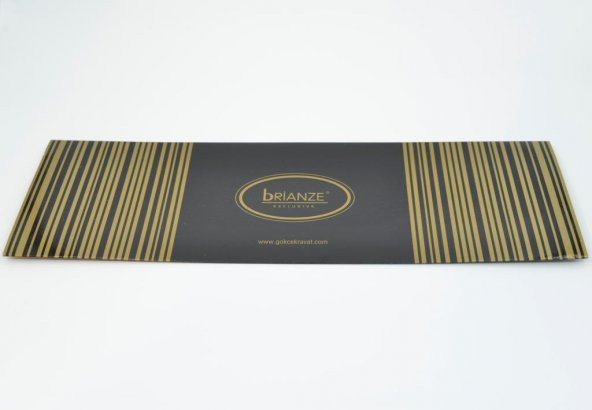 Brianze Bordo Puantiyeli Kravat Mendil Set - Resim 3