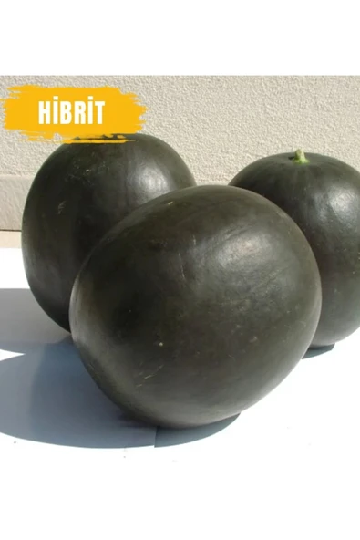 Tarımsal ve Hayvansal Ürünler 1200 Adet Hibrit Karpuz Tohumu ürün görseli 1
