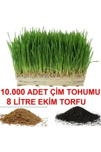 TohumGübre 10.000 Adet Çim Tohumu Ve De 8 Litre Çim Ekim Torfu Toprak ürün görseli 1