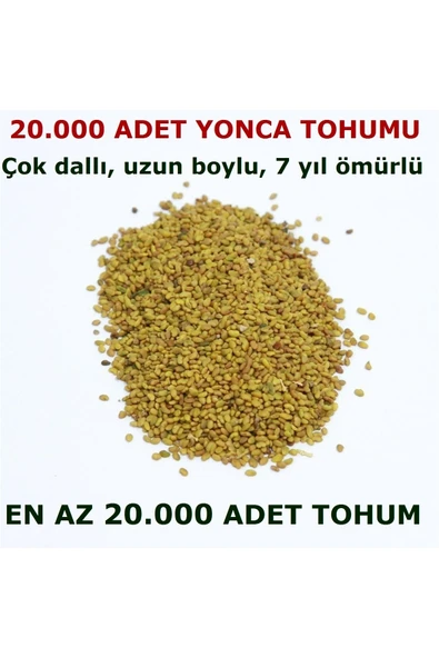 TohumGübre Yonca Tohumu 20.000 Adet ürün görseli 1