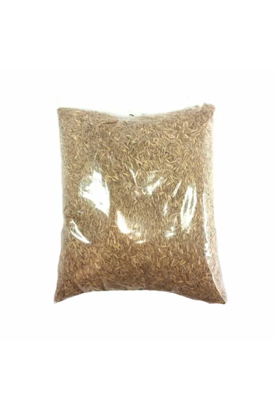 Palmiye Çim Tohumu (500 Gr) ürün görseli 1