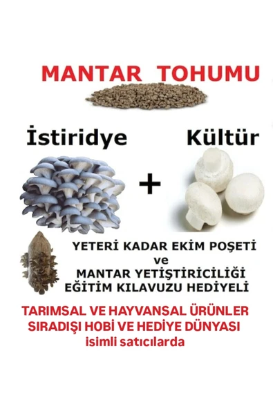 Tarımsal ve Hayvansal Ürünler 3000 Adet İstiridye ve 3000 Adet Kültür Mantarı Tohumu ürün görseli 1