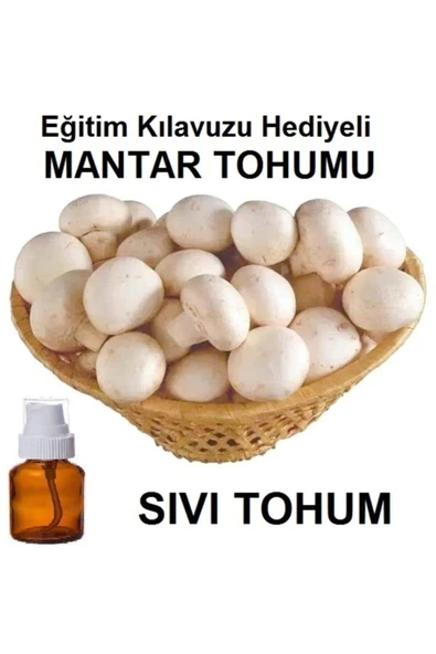 TohumGübre 100 ml Kültür Mantarı Tohumu ürün görseli 1