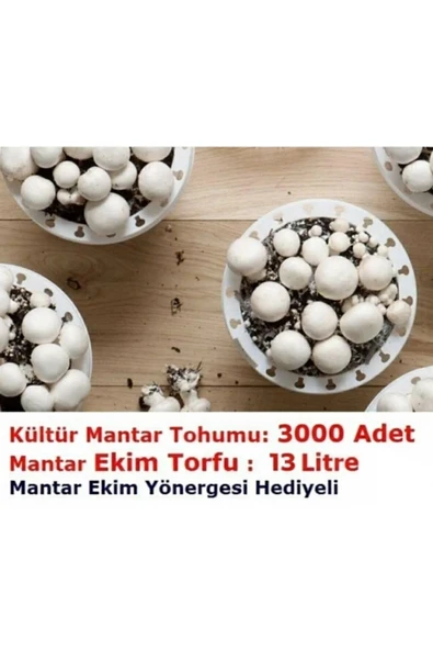 Tarımsal ve Hayvansal Ürünler 3000 Adet Kültür Mantar Tohumu ve 13 Litre Mantar Ekim Torfu ürün görseli 1
