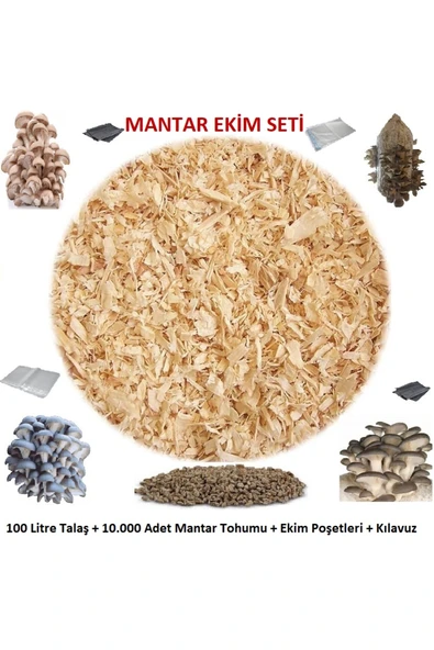 Tarımsal ve Hayvansal Ürünler İstiridye Mantarı Ekim Seti ürün görseli 1