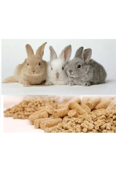 Sağlıklı Yaşam 1000 gr Süper Kalite Tavşan Yemi ürün görseli 1