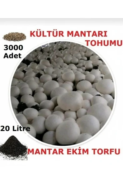 Tarımsal ve Hayvansal Ürünler 20 Litre Kültür Mantarı Ekim Torfu ve 3000 Adet Kültür Mantarı Tohumu ürün görseli 1