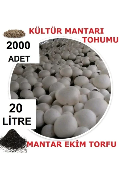 TohumGübre 20 Litre Ekim Torfu Ve 2000 Adet Kültür Mantarı Tohumu Ile Eğitim Kılavuzu ürün görseli 1