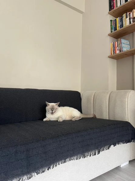 KOLTUK ÖRTÜSÜ PAMUK BALIKSIRTI ürün görseli 1