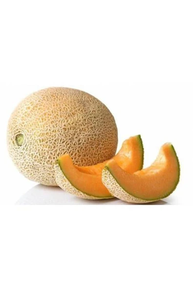 Eslem Tohumculuk Iri Bal Ananas Kavunu Tohumu Kavun Tohumu 15 Adet Tohum ürün görseli 1