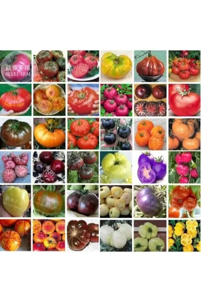 Tarımsal ve Hayvansal Ürünler 25 Adet Karışık Cinste Domates Tohumu ürün görseli 1