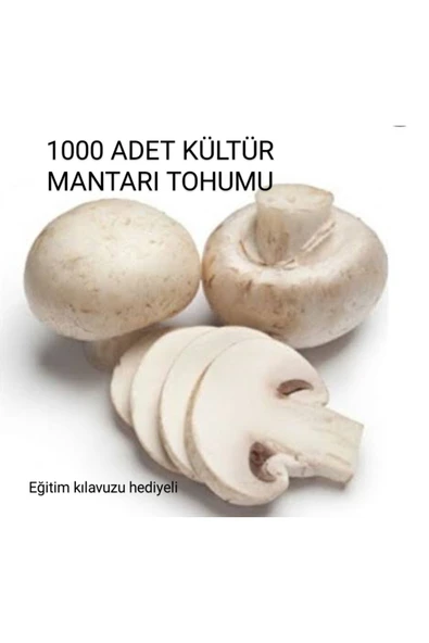 Tarımsal ve Hayvansal Ürünler 1000 Adet Kültür Mantarı Tohumu + Eğitim Kılavuzu + Hediye ürün görseli 1