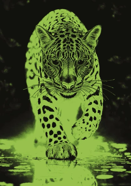 PTTAVM: Art Puzzle Mavi Jaguar Neon 1000 Parça - 41200